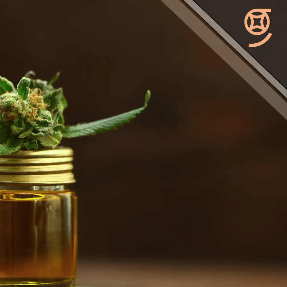 textura y color de aceite de CBD