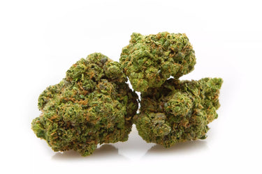 BISCOTTI USA - Flores de CBD