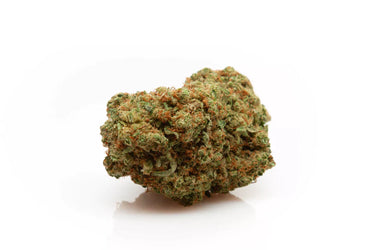 cogollo de marihuana legal, lleno de tricomas sobre fondo blanco