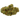 cogollo de variedad hidroponica