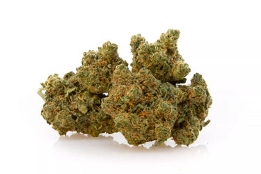 Cogollos de Marihuana legal, de tamaño grande sobre fondo blanco