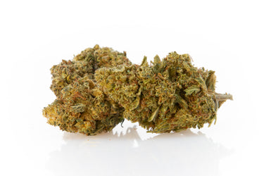 2 cogollos de CBD sobre superficie blanca
