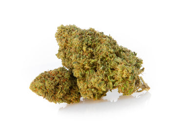 Cogollos de flores de CBD de genética Diesel Tonic sobre fondo blanco