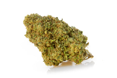 Cogollo de marihuana legal genética diesel tonic en fondo blanco.