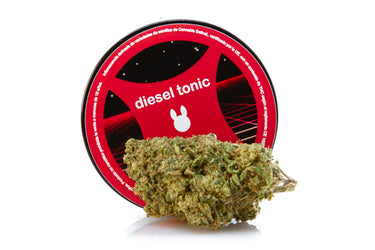 Envase de cogollo de cbd de genética Diesel Tonic, junto con cogollo de la misma variedad sobre fondo blanco.