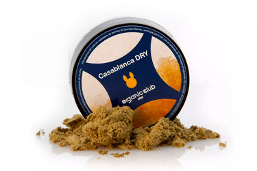 hachís tipo polen de CBD desmenuzado sobre superficie blanca, con su envase en forma de tarro