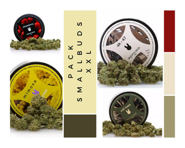pack de 4 variedades de cogollos pequeños de flores de CBD