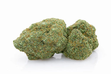 cogollo de cbd 100% legal sobre fondo blanco. Ideal para la relajación