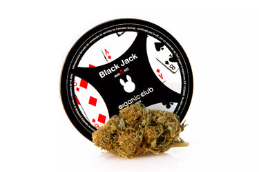 Flor de Marihuana legal con su correspondiente envase inspirado en el juego de cartas black jack. En fondo blanco.