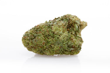 Cogollo de CBD verde clarito sobre fondo blanco