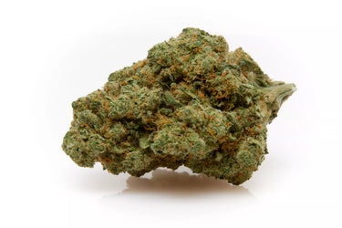 cogollo de inmejorable aspecto, y fondo blanco