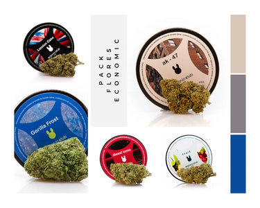 cinco variedades de flores de cbd con sus correspondientes cogollos donde se puede apreciar la diferencia entre todas las variedades.