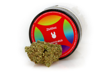 Flores de CBD hidropónicas, con su tarro rojo detrás sobre fondo blanco