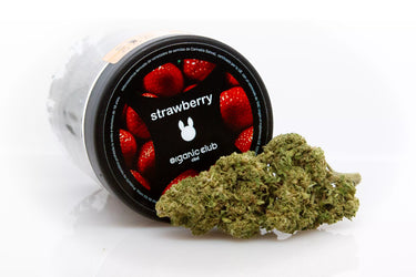 tarro de flores de CBD genética strawberry, decorado con fresas, con flor de CBD delante