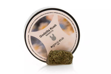 hash de cbd y nano 10 premium de alta concentración