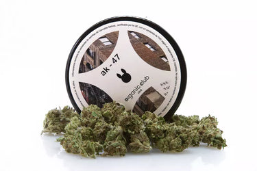 tarro de pop corn de cbd variedad ak 47 alta concentración de cbd en fondo blanco