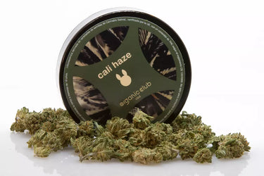 COGOLLOS PEQUEÑOS DE FLORES DE CBD VARIEDAD CALI HAZE, ESPARCIDOS SOBRE FONDO BLANCO CON SU ENVASE VERDE
