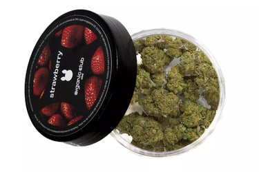 cogollos de flores de cbd textura resinosa en su envase y fondo blanco