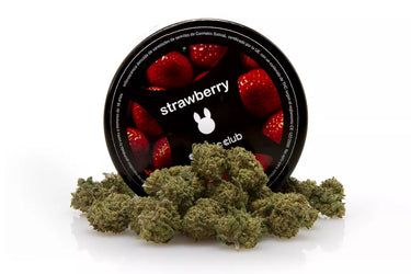 smallbuds de marihuana legal fotografiadas junto con su envase, en fondo blanco. Variedad strawberry