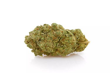 cogollo grande premium de cbd indoor