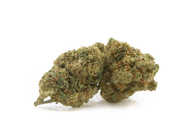 MONTECARLO KUSH
