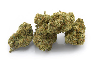 MONTECARLO KUSH