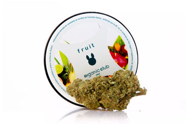 Envase de genetica de cbd fruit junto con cogollo en fondo blanco.