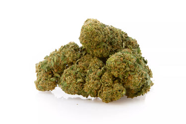 Cogollos de flores indoor de marihuana legal en fondo blanco, genética Mimosa.
