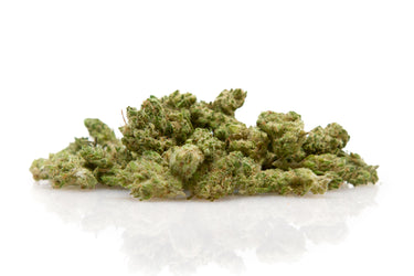 cogollos pequeños de cbd variedad hidróponica zkittle sobre fondo blanco