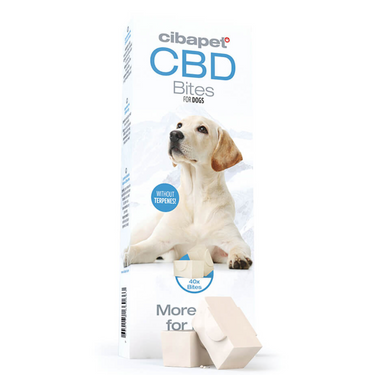 Snack cbd Perros Cibidol Organic club CBD Tres Cantos