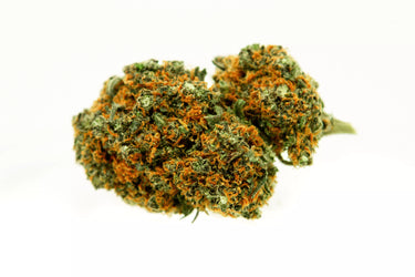 Cali Haze flores CBD