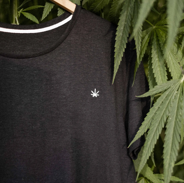 camiseta negra sobre fondo de plantas de cáñamo