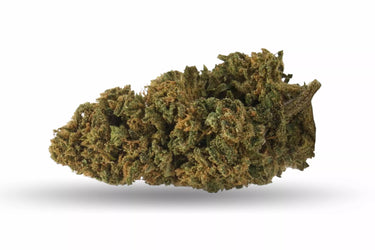 Cogollo de marihuana legal de variedad amnesia color verde esmeralda sobre fondo blanco