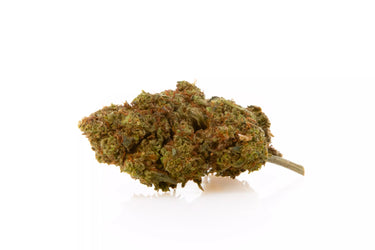 Cogollo de marihuana legal de 10-OH 