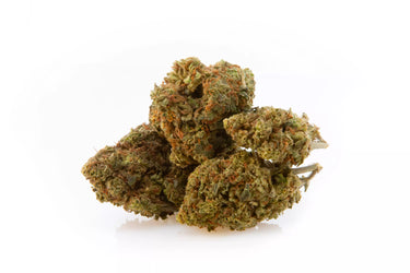 Cogollos de Flores de 10-OH genética Mango, en fondo blanco. 