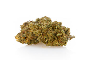 cogollo de CBD sobre superficie y fondo blanco