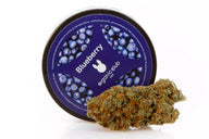 Cogollo de flor hidropónica de cbd con su envase e información legal en fondo blanco.  Variedad Blueberry