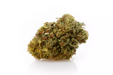 Cogollo de marihuana legal, sobre fondo blanco