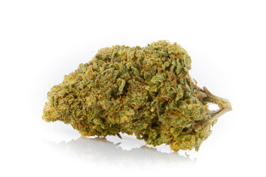 Cogollo de flor de cbd en fondo blanco