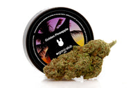 COGOLLO DE CBD HIDROPÓNICO PINEAPPLE