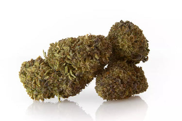 3 cogollos de flores de cbd9 apoyados sobre fondo blanco
