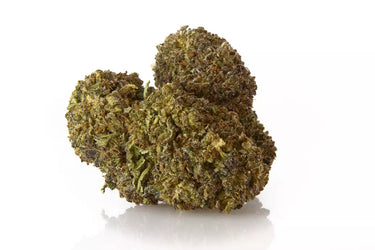 2 cogollos de cbd9 sobre fondo blanco