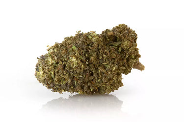 cogollo de CBD9, FLORES de cbd sobre fondo blanco
