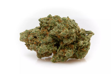 cogollo de CBD con envase y fondo blanco