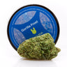 Cogollo de marihuana legal verde claro, con su envase redondo azul de la variedad Gotilla Frost