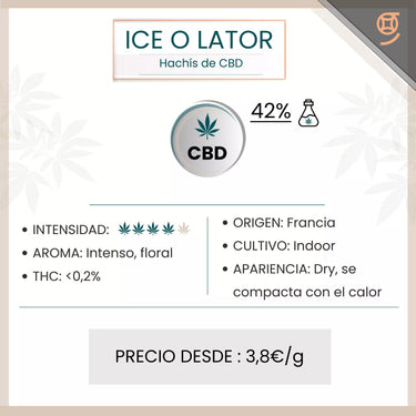 Ice O Lator - Resinas CBD (42%)