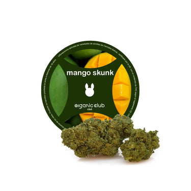 Cogollo de marihuana legal junto con su envase en fondo blanco. 