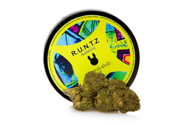 cogollo de flor de marihuana legal con su correspondiente tarro. variedad RUNTZ