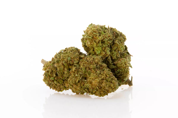 Cogollo de flores de cbd indorr en fondo blanco. Variedad white widow.