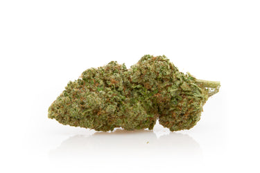 cogollo o flores de cbd hidropónico genética black domina